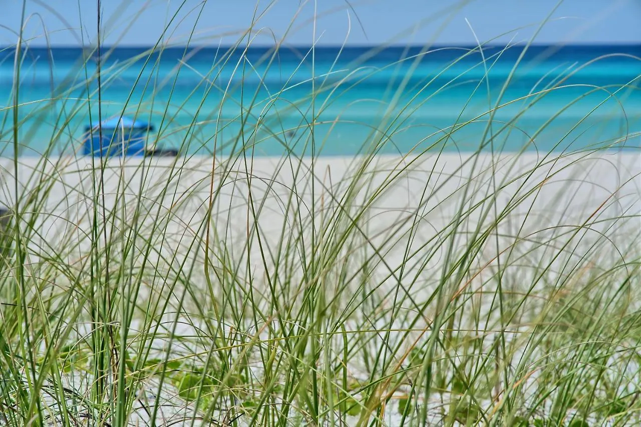 Fabulous Modern Beach House - 4Br, 35Ba: Pool/Beach View & Access/Balcony Panama City Beach 0*,
